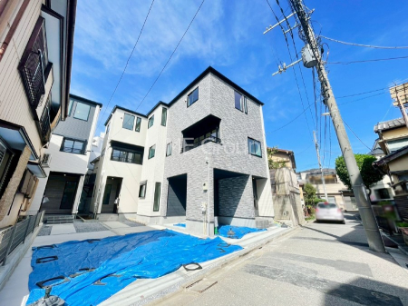 nOώʐ^@Ƃ肪Ί𐶂ސSn悢