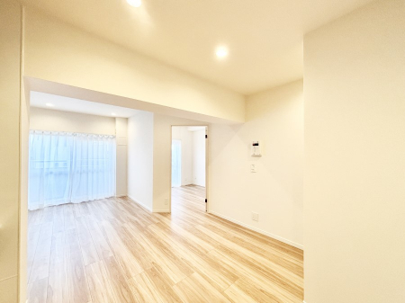 rO@傫ȑ炽Ղ̗zƕ郊rO