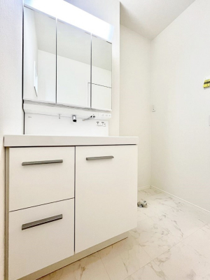 ���̑��@����������z���C�g�J���[����Ƃ������ʎ�