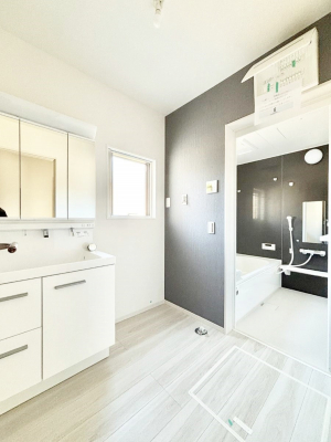 ���̑��@�_�炩�Ȓ��̌����������鑋���������ʎ�