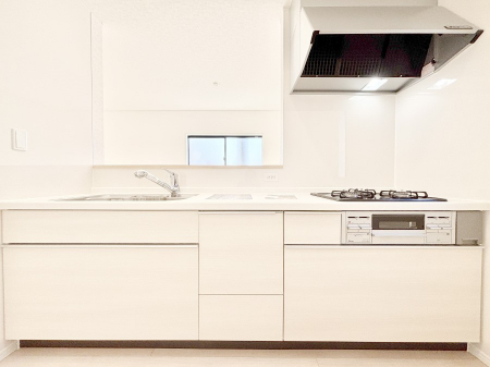 �L�b�`���@�������������I�ɁA�y�����I�V�X�e���L�b�`��  