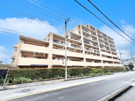 nOώʐ^@Ƃ肪Ί𐶂ސSn悢   