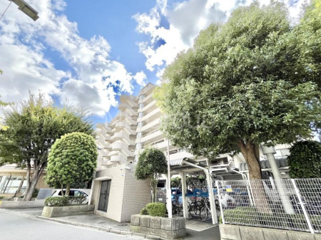 nOώʐ^@Ƃ肪Ί𐶂ސSn悢 