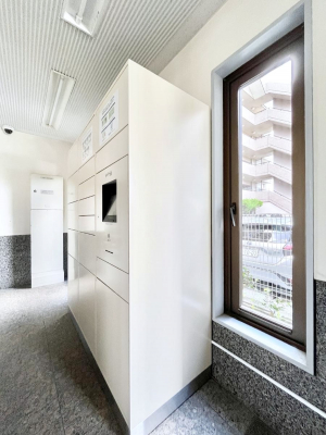 ̑@玞̂ו̎󂯎łz{bNXt