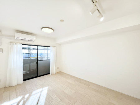 rO@傫ȑ炽Ղ̗zƕ郊rO  