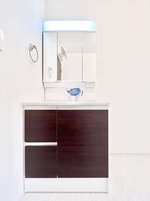 ���ʑ�E���ʏ��@���[�͂Ƌ@�\���ɗD�ꂽ���ʉ��ϑ�