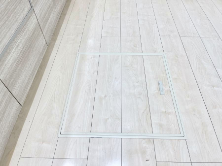 ̑ρ@[tIpiEpi̎[ɂ劈B