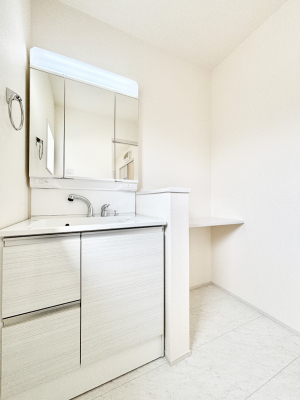 ���ʑ�E���ʏ��@���[�͂Ƌ@�\���ɗD�ꂽ���ʉ��ϑ�