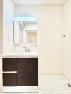 ʑEʏ@傫₷OʋŐʑ́AgȂ݃`FbN┧̂ɂ߂łB 