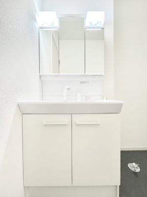 ���ʑ�E���ʏ��@���[�͂Ƌ@�\���ɗD�ꂽ���ʉ��ϑ�