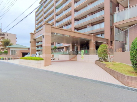 �G���g�����X�@-