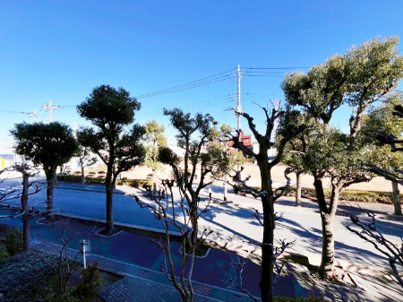 ���̑��@�o���R�j�[����̒��]�ł�