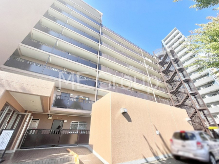 nOώʐ^@Ƃ肪Ί𐶂ސSn悢 