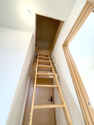 ̑ρ@[قɂACfAŉKԂɑϐgI  