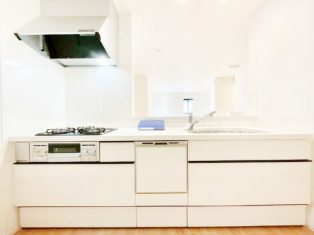 �L�b�`���@�V�X�e���L�b�`���̓V���v���ŃX�b�L�������O���̗��Ȃ��f�U�C���Ȃ̂ŉi���g�������I