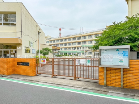 ӊ@wZ 800m 旧TLwZ