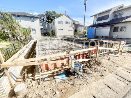 nOώʐ^@Ƃ肪Ί𐶂ސSn悢