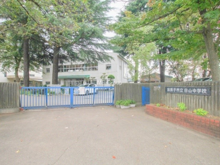 ӊ@wZ 1100m 䑷qsRwZ