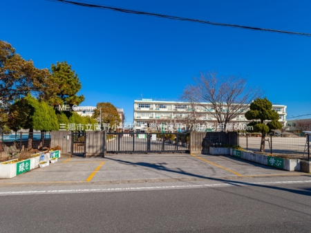 ӊ@wZ 600m Os쏬wZ