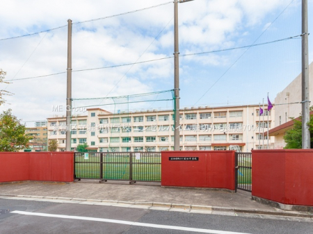 ӊ@wZ 700m 旧xؒwZ