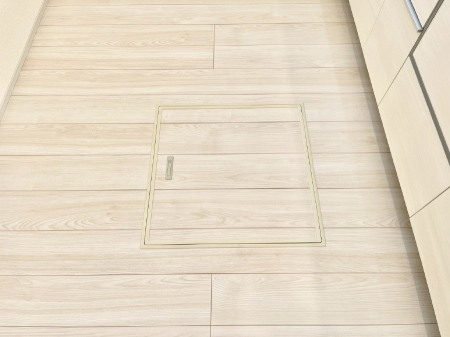 ���̑����ρ@�������[�t���I���p�i�E���p�i�̎��[�ɂ��劈��B