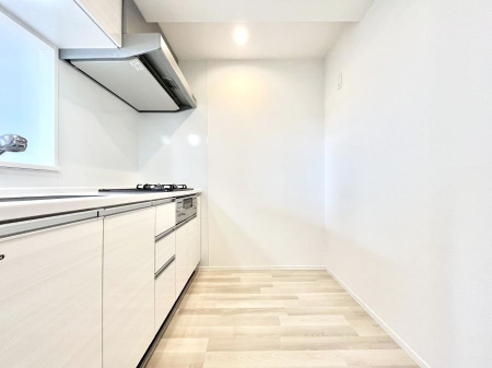 �L�b�`���@��Ƃ肠��L�b�`���X�y�[�X�ł�������H��̌�Еt�����X���[�Y�ɁI