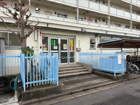 ӊ@ctEۈ牀 290m Zؕۈ牀