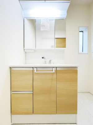 ���ʑ�E���ʏ��@���[�͂Ƌ@�\���ɗD�ꂽ���ʉ��ϑ�