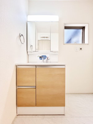 ���ʑ�E���ʏ��@���[�͂Ƌ@�\���ɗD�ꂽ���ʉ��ϑ�