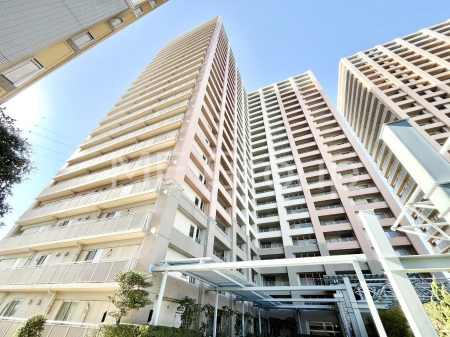 ���n�O�ώʐ^�@�]�ː쉈���ɘȂރ}���V�����B