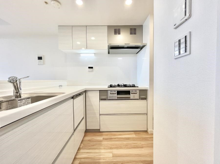 �L�b�`���@�������̂������ŉƑ��̏Ί炪�L����܂��I