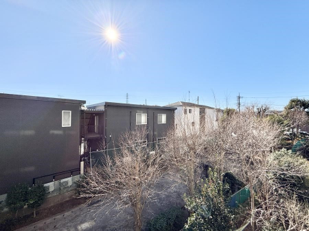 ���̑��@�o���R�j�[����̒��]�ł�