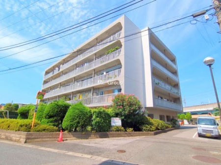 nOώʐ^@Ƃ肪Ί𐶂ސSn悢 