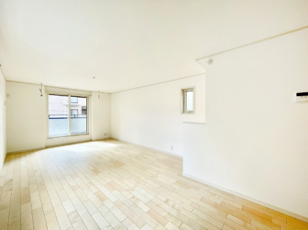 rO@傫ȑ炽Ղ̗zƕ郊rO 