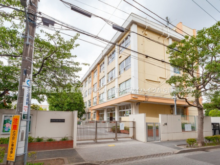 ӊ@wZ 550m ]ː旧掵wZ