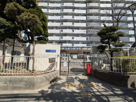 ӊ@ctEۈ牀 260m ۈ牀