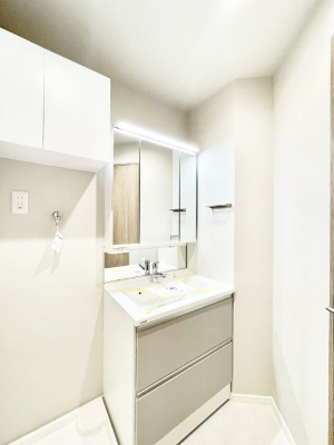 ���ʑ�E���ʏ��@�O�ʋ����ʑ�͎��[�L�x�A�ׂ������̂��X�b�L���Еt���܂�