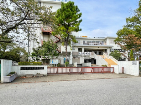 ӊ@wZ 870m zJsܒwZ