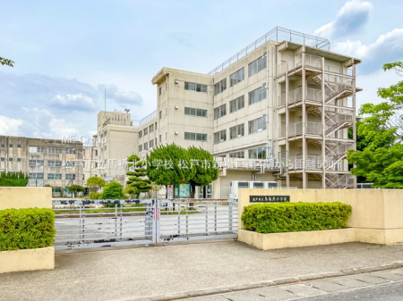 ӊ@wZ 500m ˎsnkwZ