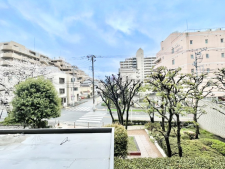 ���̑��@���z�̌b�݂�������ʂ����肠�ӂ���ԁB