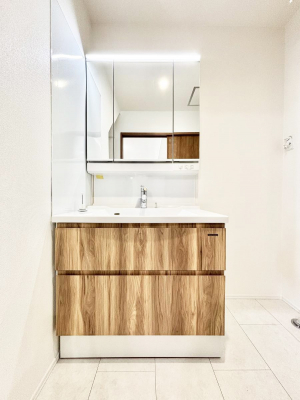 ���ʑ�E���ʏ��@���[�͂Ƌ@�\���ɗD�ꂽ���ʉ��ϑ�