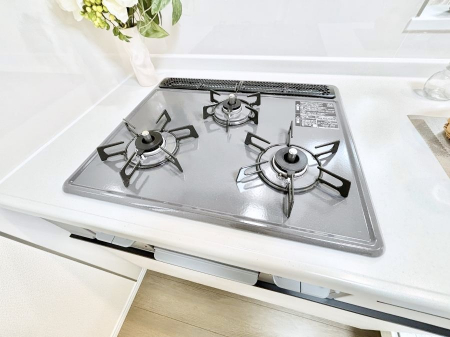 ���̑����ρ@�S�~��J�r�A����h���A�Z������N�ɁI�_�N�g���X�̃u�[�X�^�[�z�t�@��