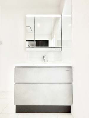 ���ʑ�E���ʏ��@���[�͂Ƌ@�\���ɗD�ꂽ���ʉ��ϑ�