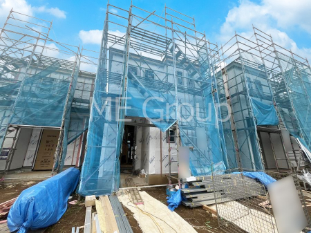 nOώʐ^@Ƃ肪Ί𐶂ސSn悢 