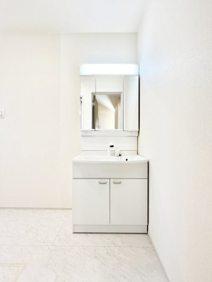 ���ʑ�E���ʏ��@���[�͂Ƌ@�\���ɗD�ꂽ���ʉ��ϑ�