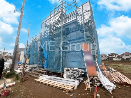 nOώʐ^@Ƃ肪Ί𐶂ސSn悢 