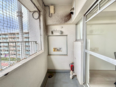 �o���R�j�[�@�S�n�悢���������Ȃ��炨���󕨂����������ł�