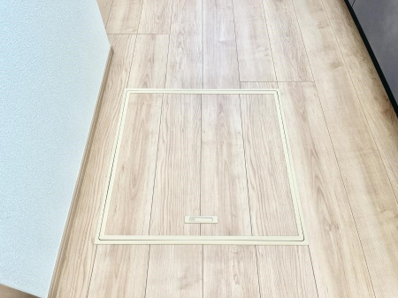 ���̑����ρ@�������[�t���I���p�i�E���p�i�̎��[�ɂ��劈��B