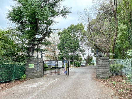 ӊ@wZ 1390m PJsܒwZ