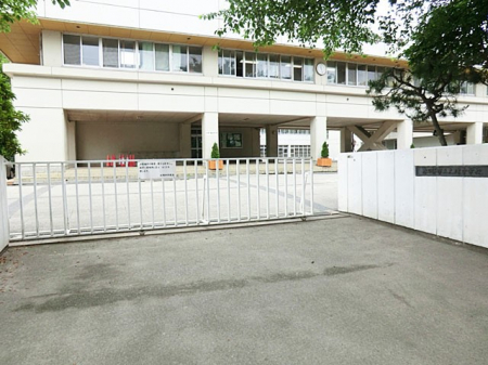 ӊ@wZ 400m ts呝wZ